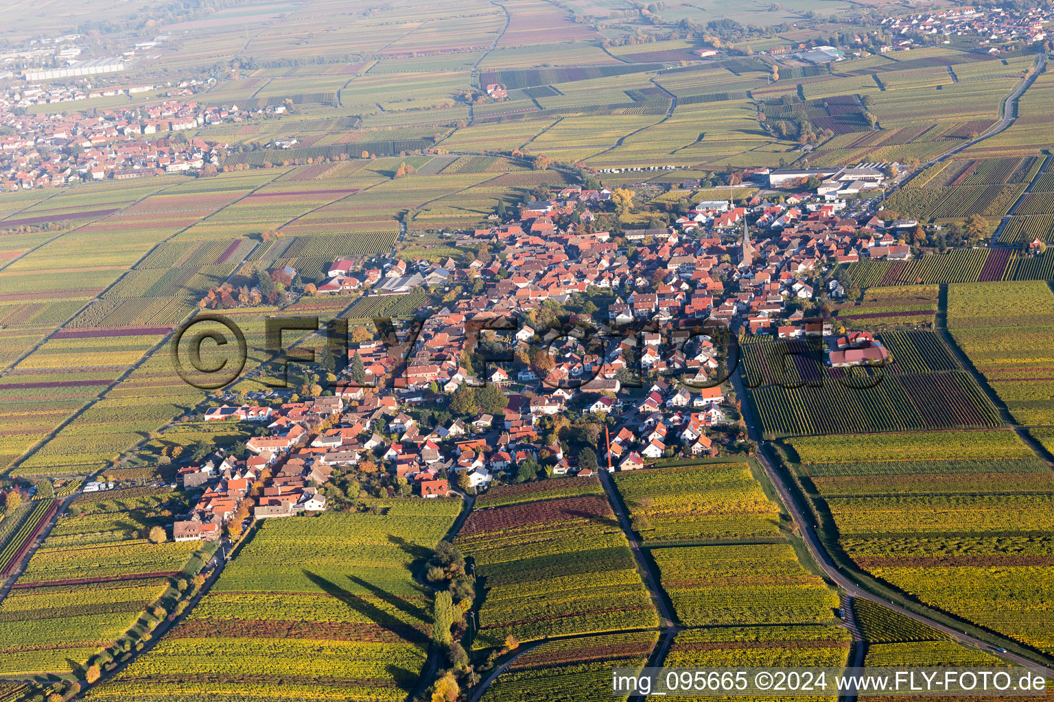 Weyher in der Pfalz in the state Rhineland-Palatinate, Germany from the drone perspective