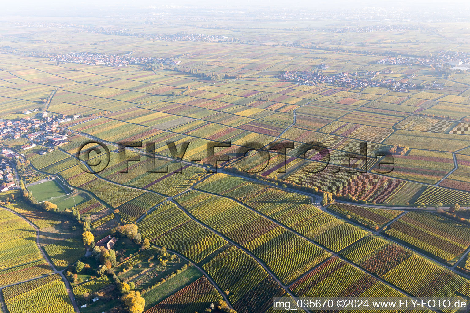 Weyher in der Pfalz in the state Rhineland-Palatinate, Germany from a drone