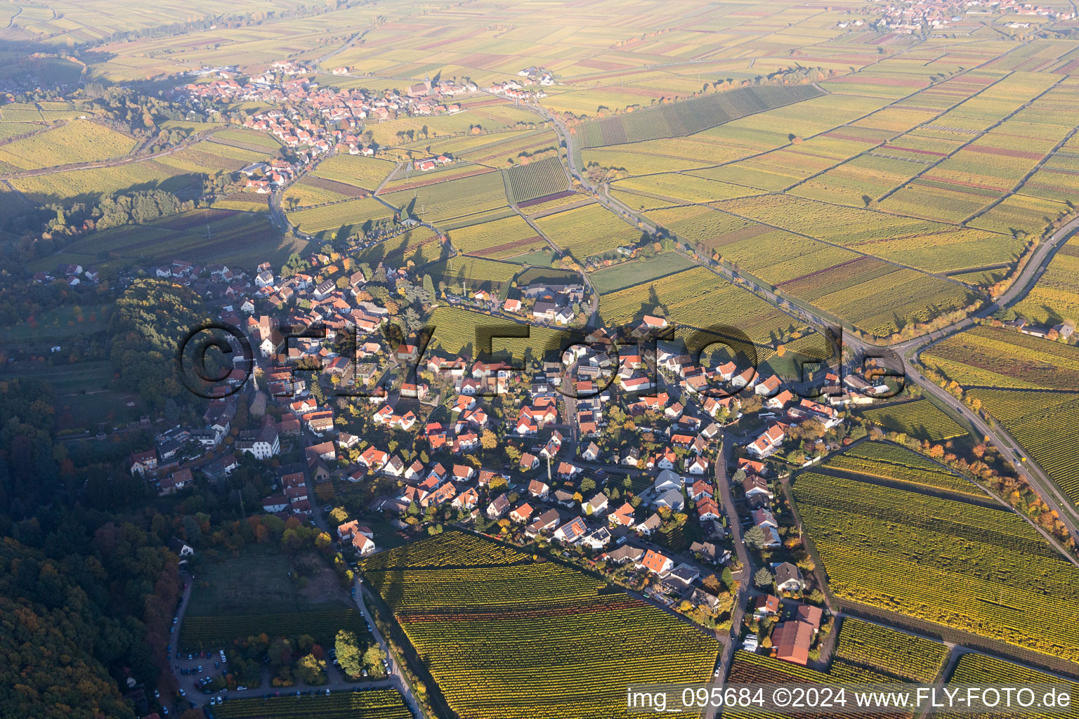 Bird's eye view of Gleisweiler in the state Rhineland-Palatinate, Germany