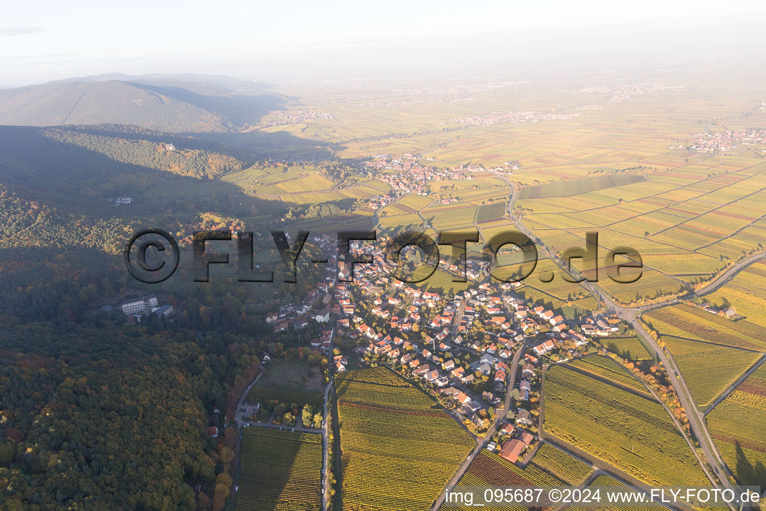 Gleisweiler in the state Rhineland-Palatinate, Germany viewn from the air