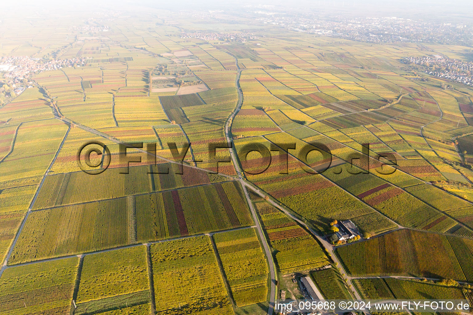 Frankweiler in the state Rhineland-Palatinate, Germany out of the air