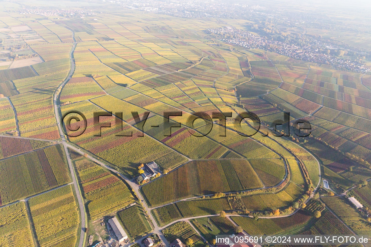 Frankweiler in the state Rhineland-Palatinate, Germany seen from above