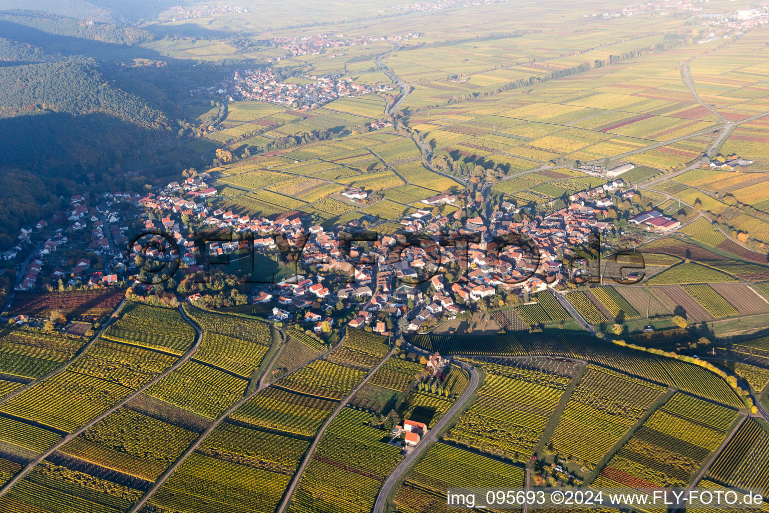 Frankweiler in the state Rhineland-Palatinate, Germany from the plane