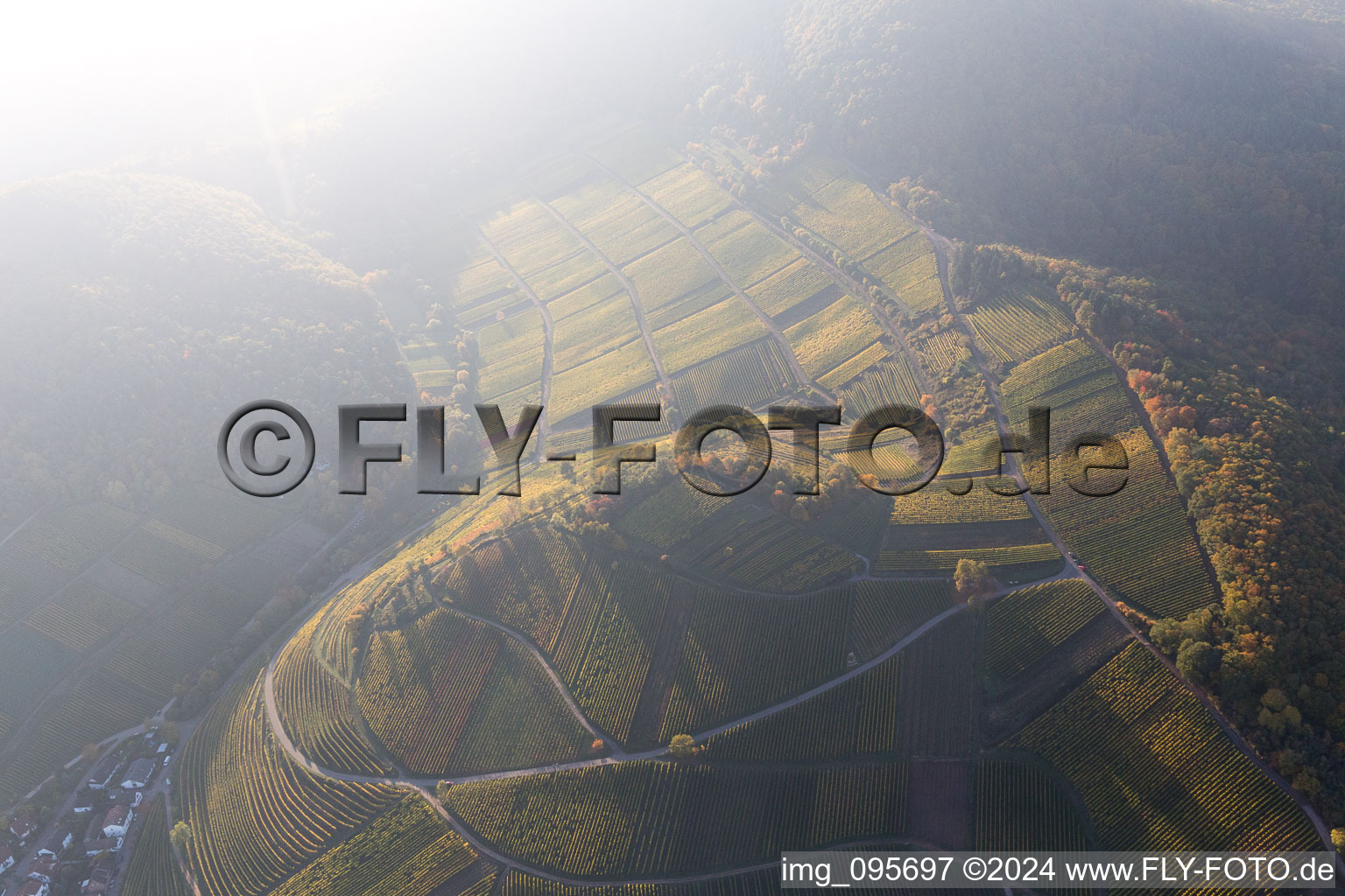 Aerial view of Birkweiler in the state Rhineland-Palatinate, Germany