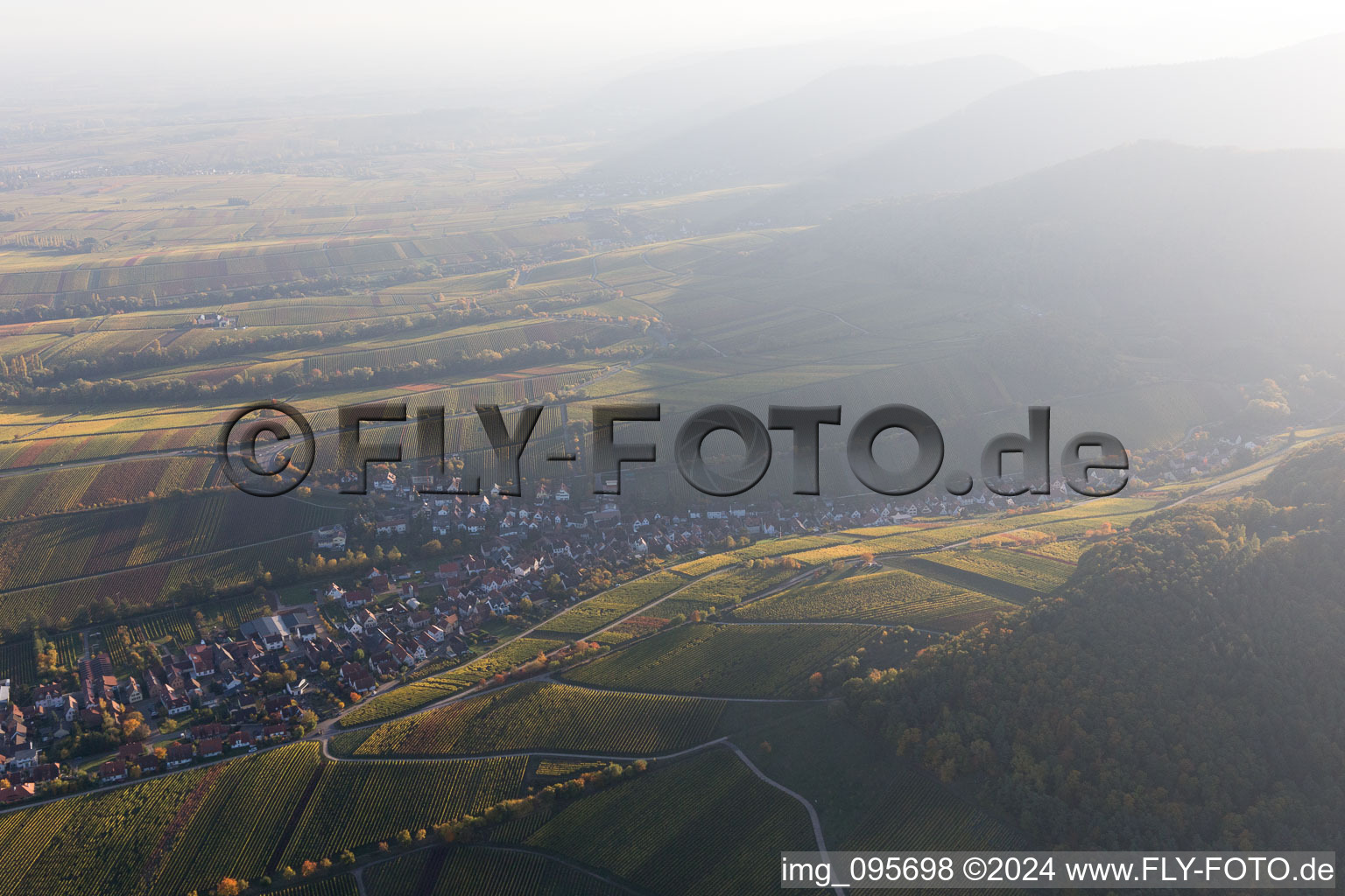 Aerial view of Ranschbach in the state Rhineland-Palatinate, Germany