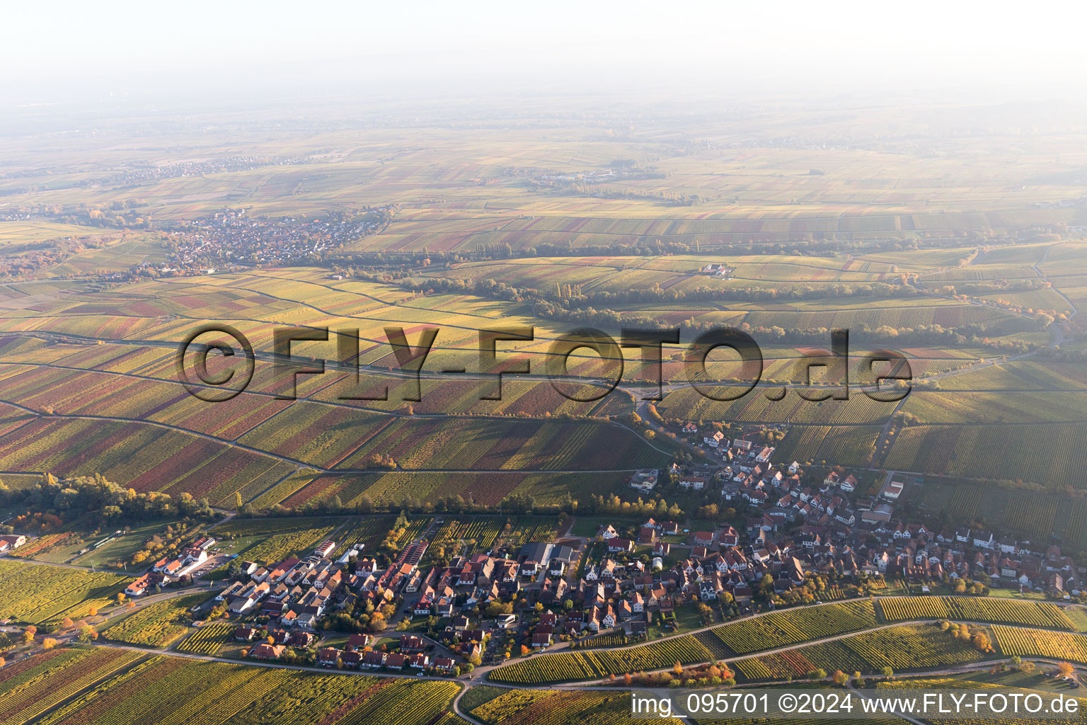 Oblique view of Birkweiler in the state Rhineland-Palatinate, Germany