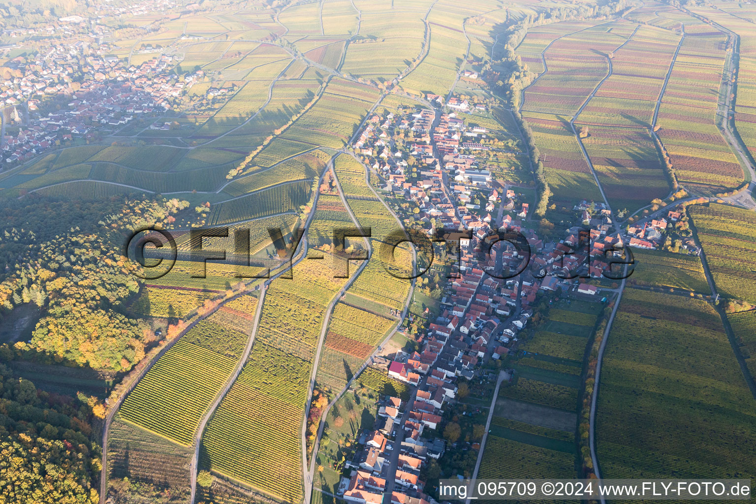 Bird's eye view of Ranschbach in the state Rhineland-Palatinate, Germany