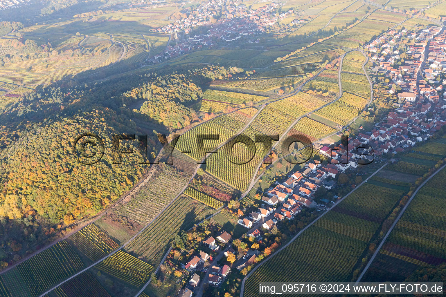 Aerial view of Ranschbach in the state Rhineland-Palatinate, Germany