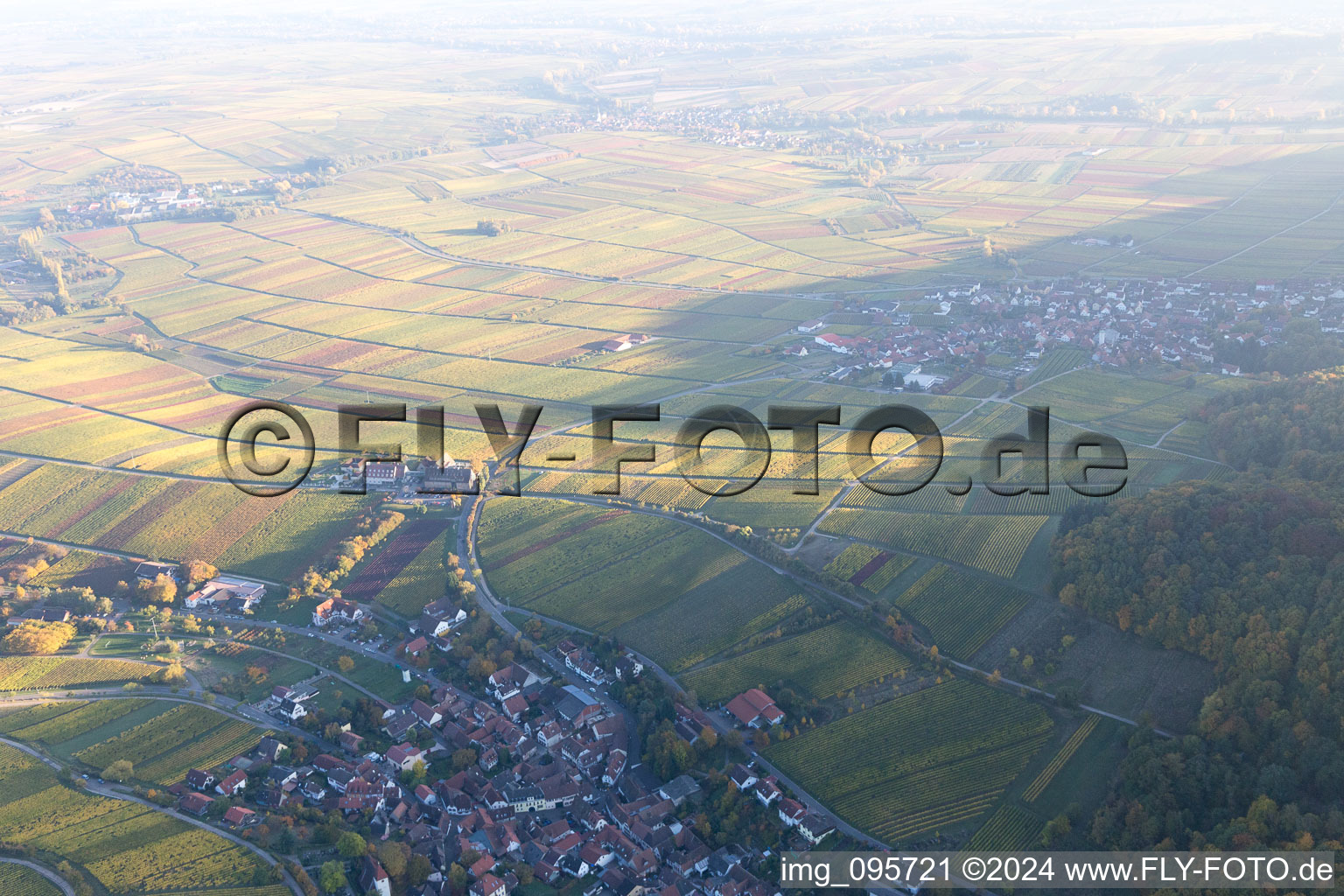 Drone image of Leinsweiler in the state Rhineland-Palatinate, Germany