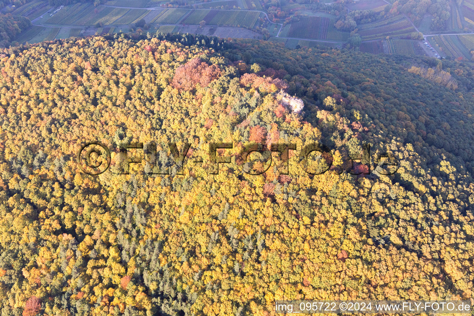 Leinsweiler in the state Rhineland-Palatinate, Germany from the drone perspective