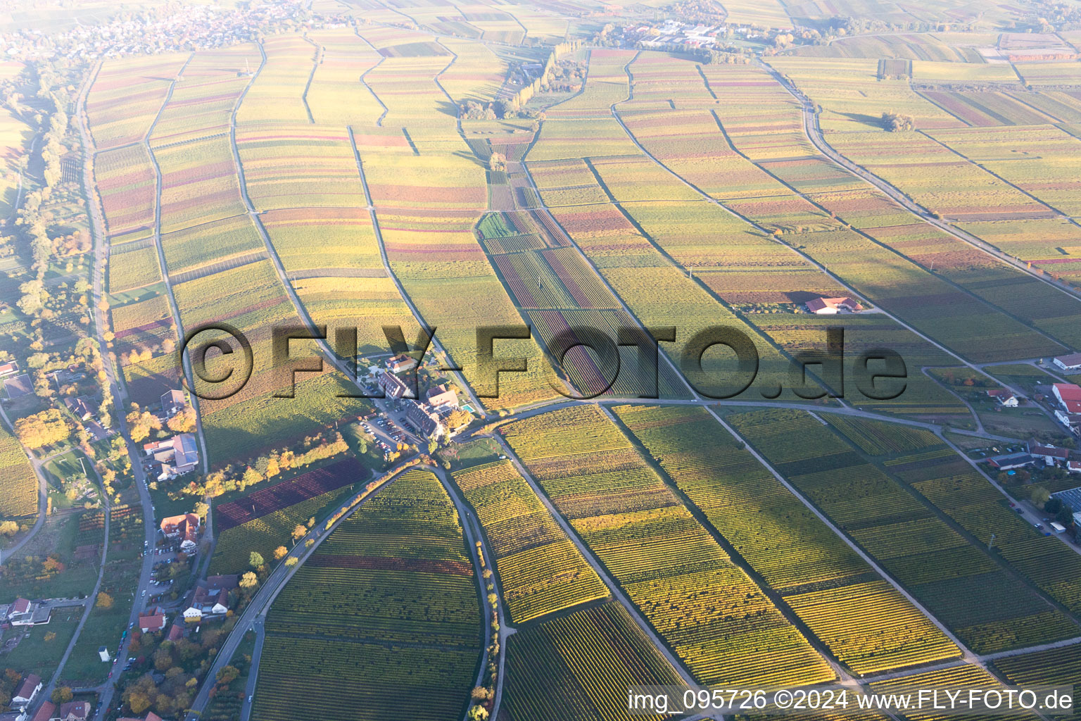 Leinsweiler in the state Rhineland-Palatinate, Germany from a drone