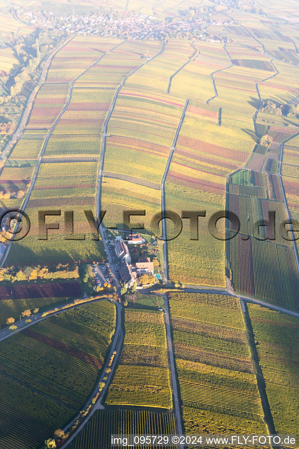 Aerial view of Leinsweiler in the state Rhineland-Palatinate, Germany