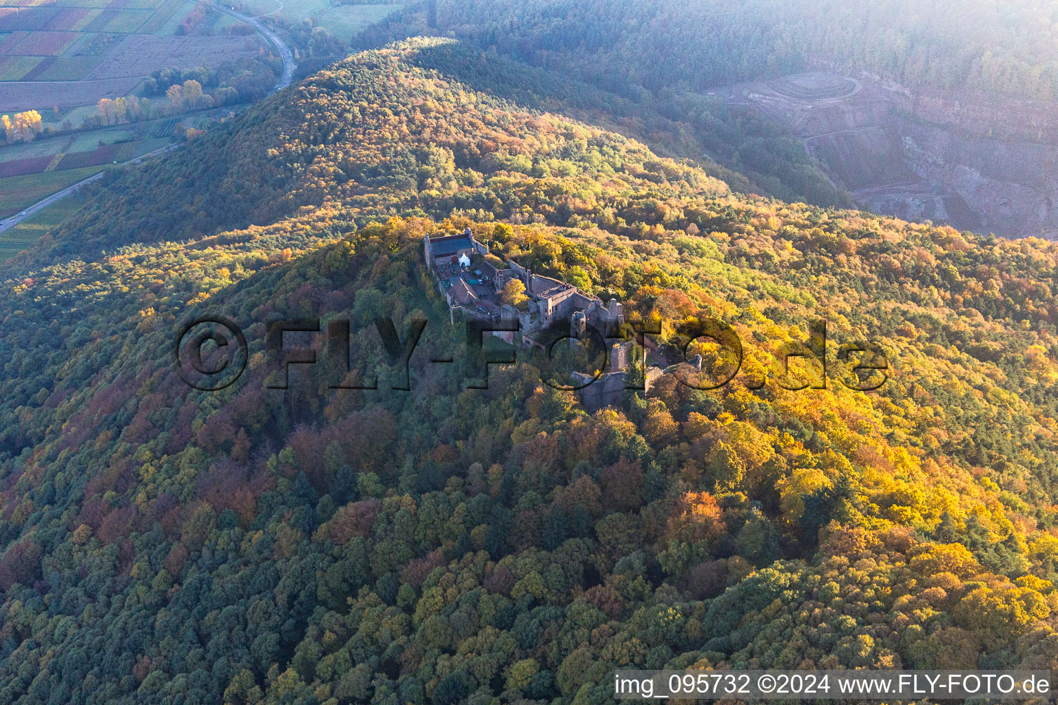 Madenburg in Eschbach in the state Rhineland-Palatinate, Germany from above