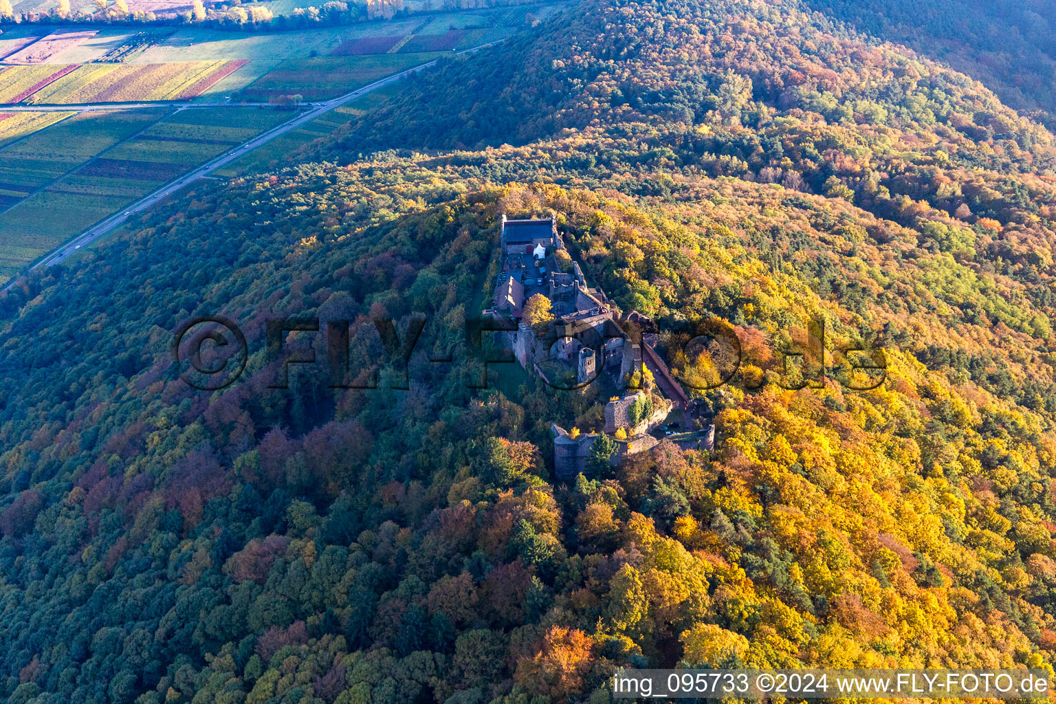 Madenburg in Eschbach in the state Rhineland-Palatinate, Germany out of the air