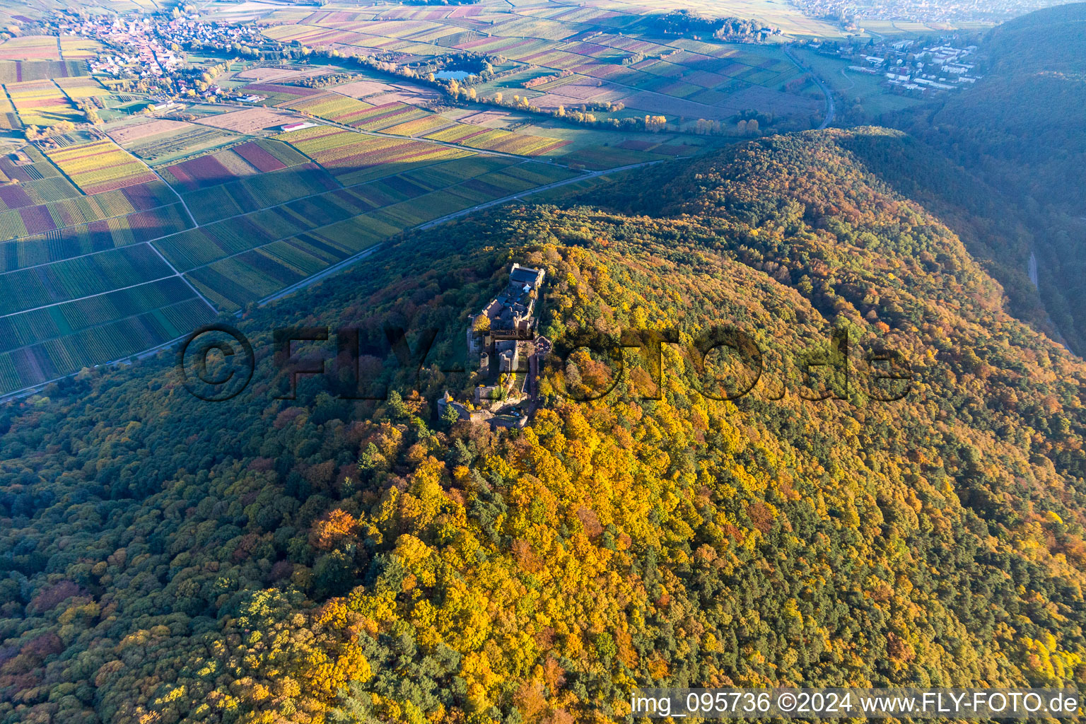 Madenburg in Eschbach in the state Rhineland-Palatinate, Germany seen from above