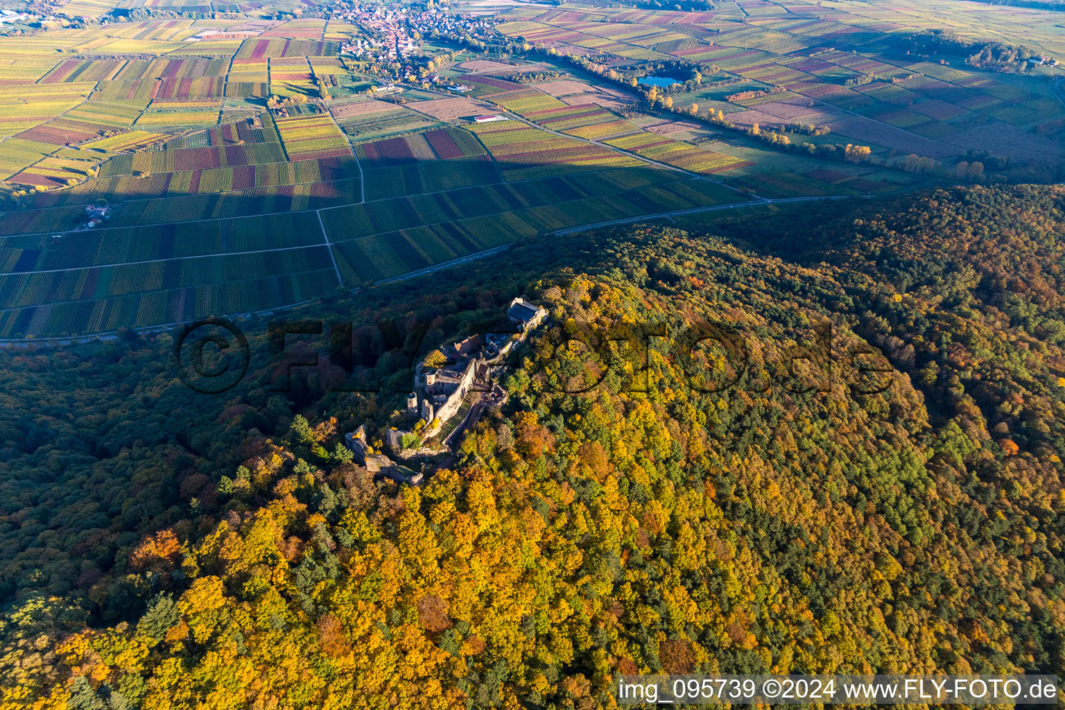 Bird's eye view of Madenburg in Eschbach in the state Rhineland-Palatinate, Germany