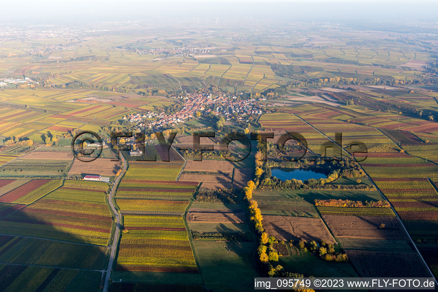 Göcklingen in the state Rhineland-Palatinate, Germany from above