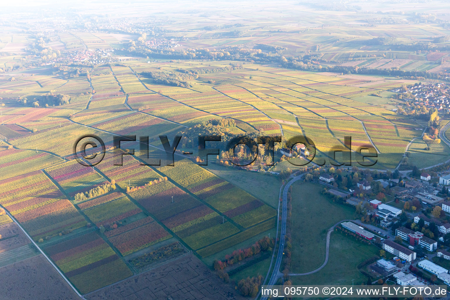 Klingenmünster in the state Rhineland-Palatinate, Germany from a drone