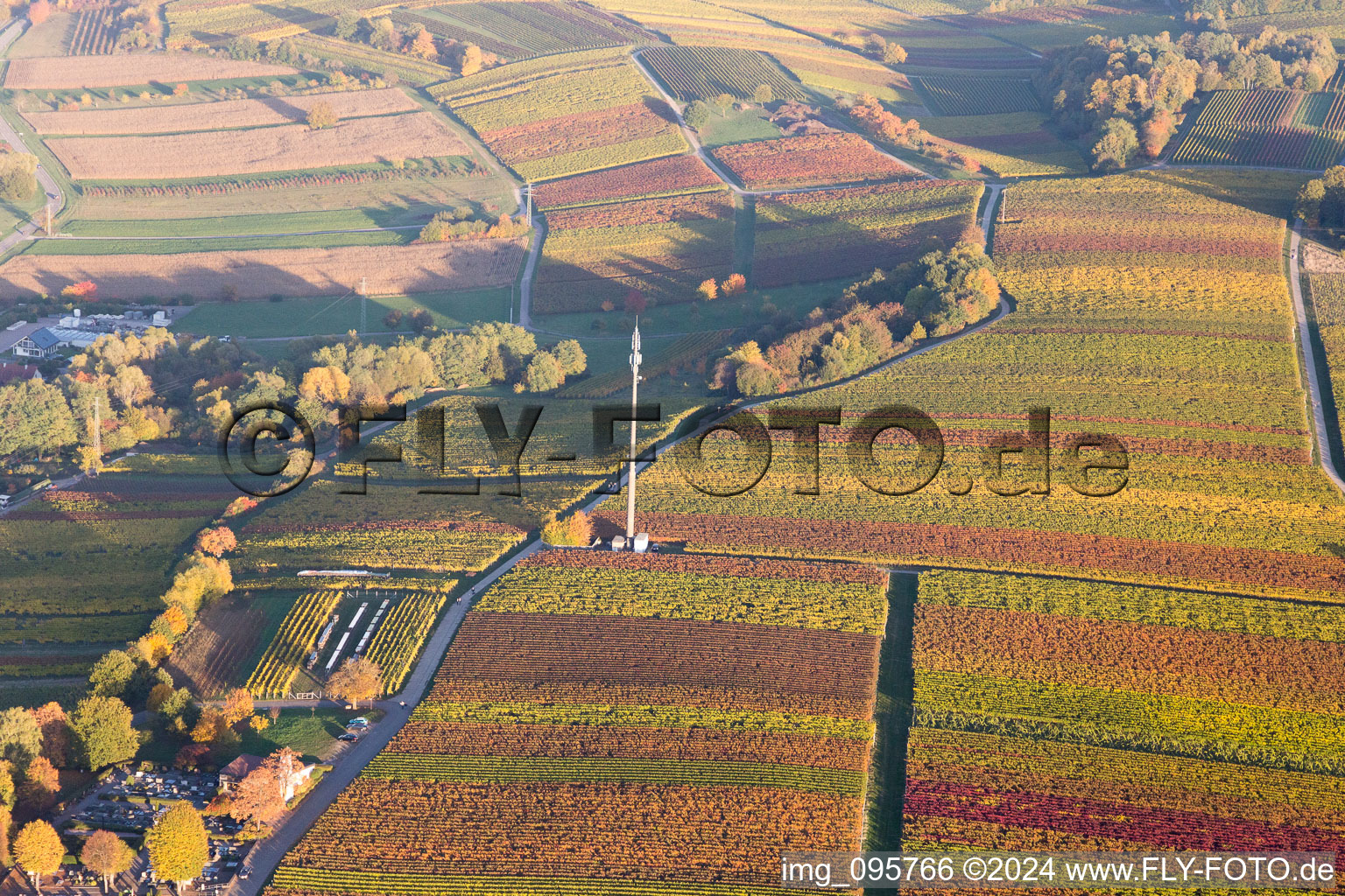 Drone image of Klingenmünster in the state Rhineland-Palatinate, Germany