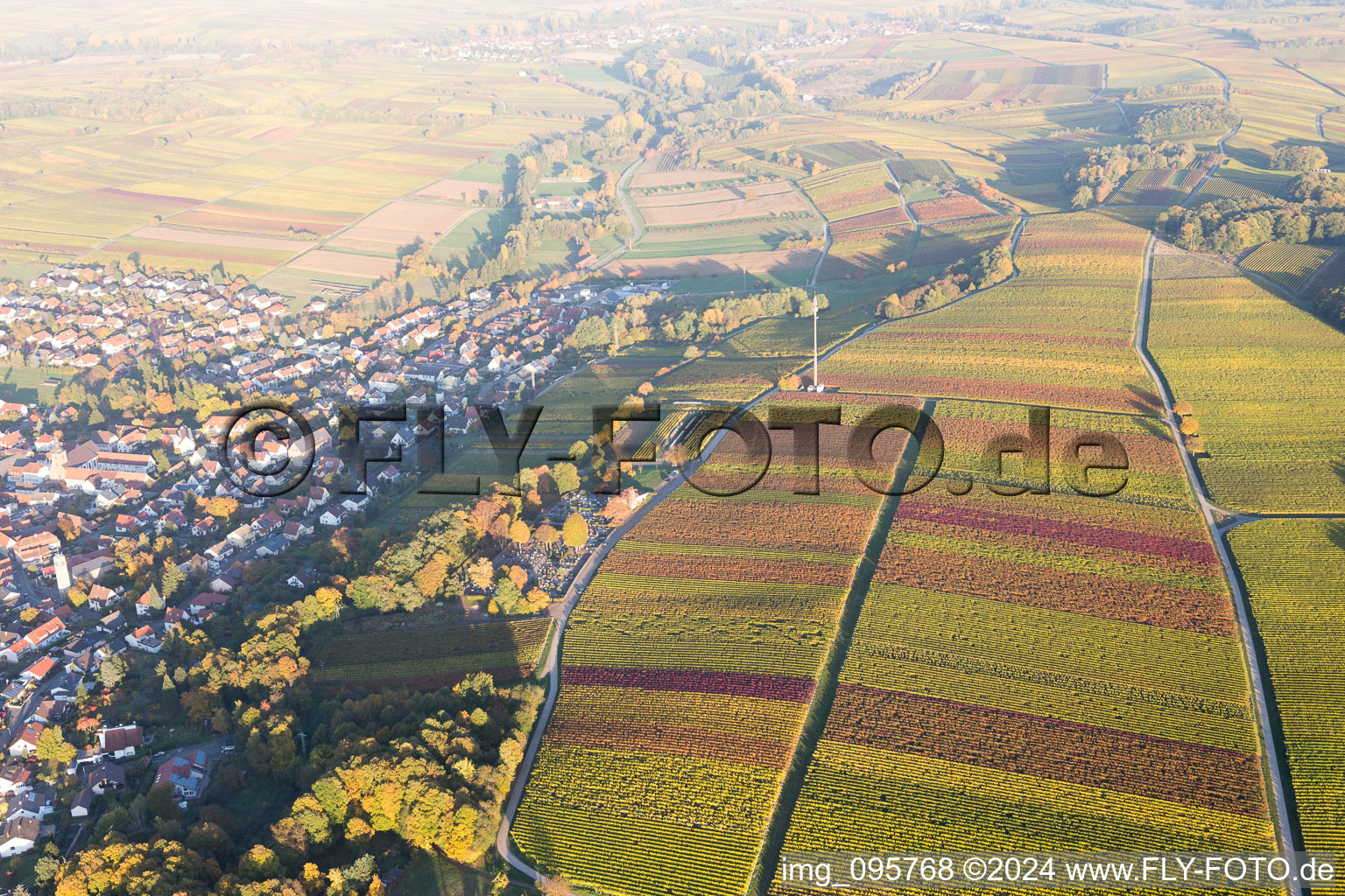 Klingenmünster in the state Rhineland-Palatinate, Germany from a drone