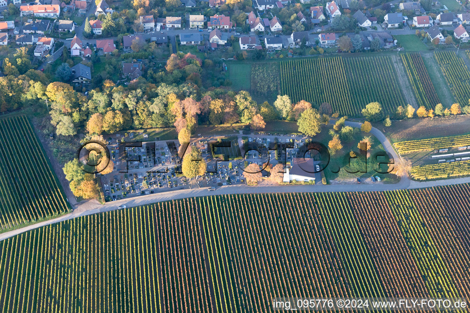 Klingenmünster in the state Rhineland-Palatinate, Germany from above