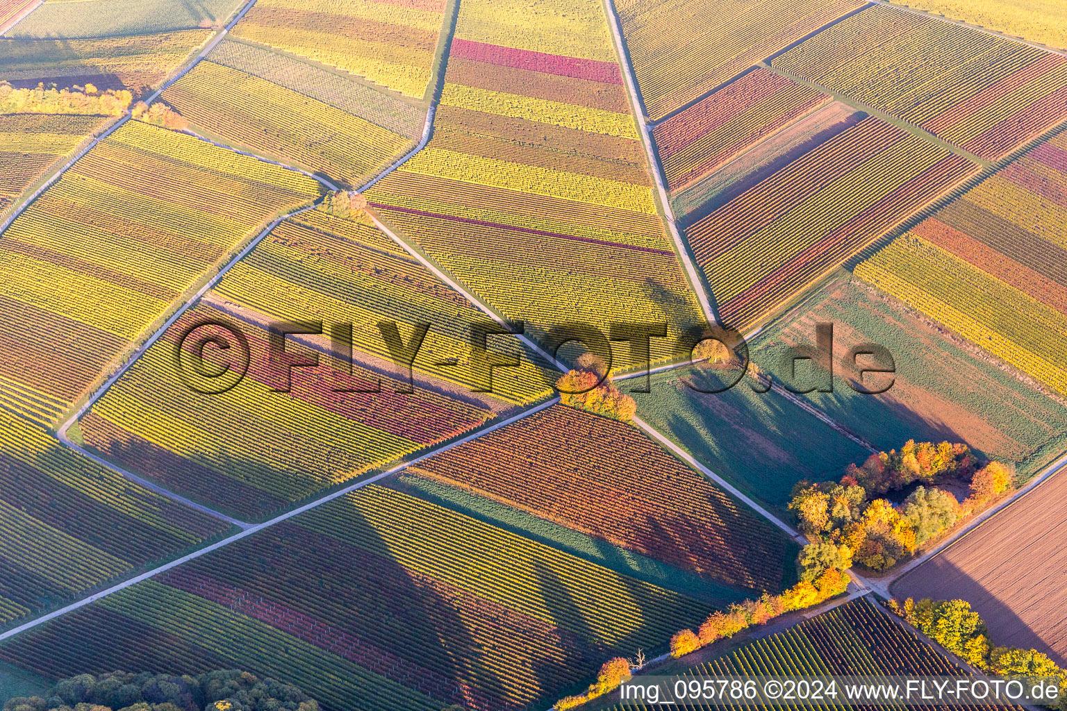 Fields of wine cultivation landscape in indian summer colours in Heuchelheim-Klingen in the state Rhineland-Palatinate, Germany
