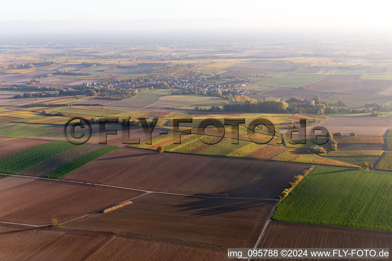 Niederhorbach in the state Rhineland-Palatinate, Germany from a drone