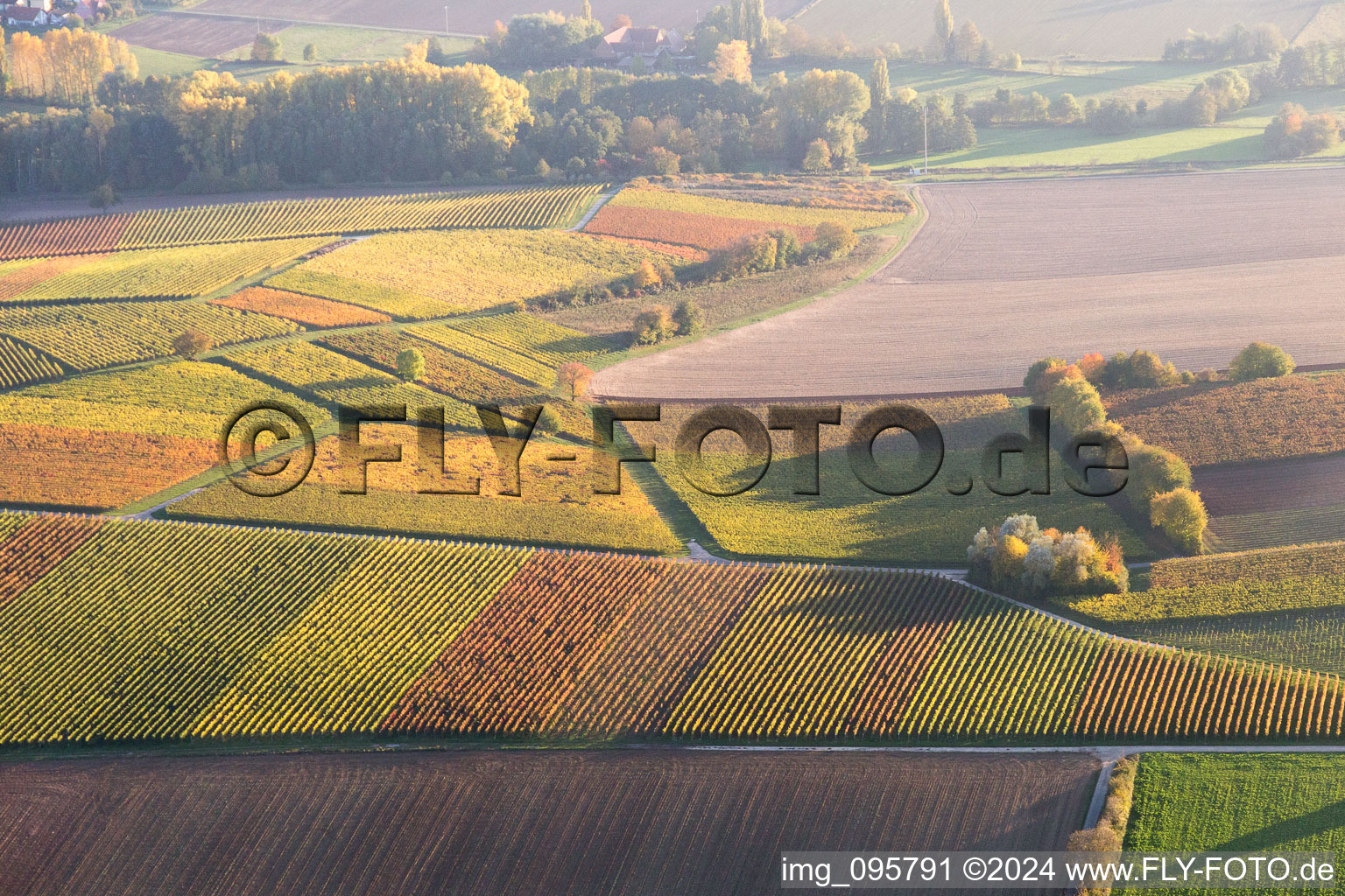 Aerial photograpy of Niederhorbach in the state Rhineland-Palatinate, Germany