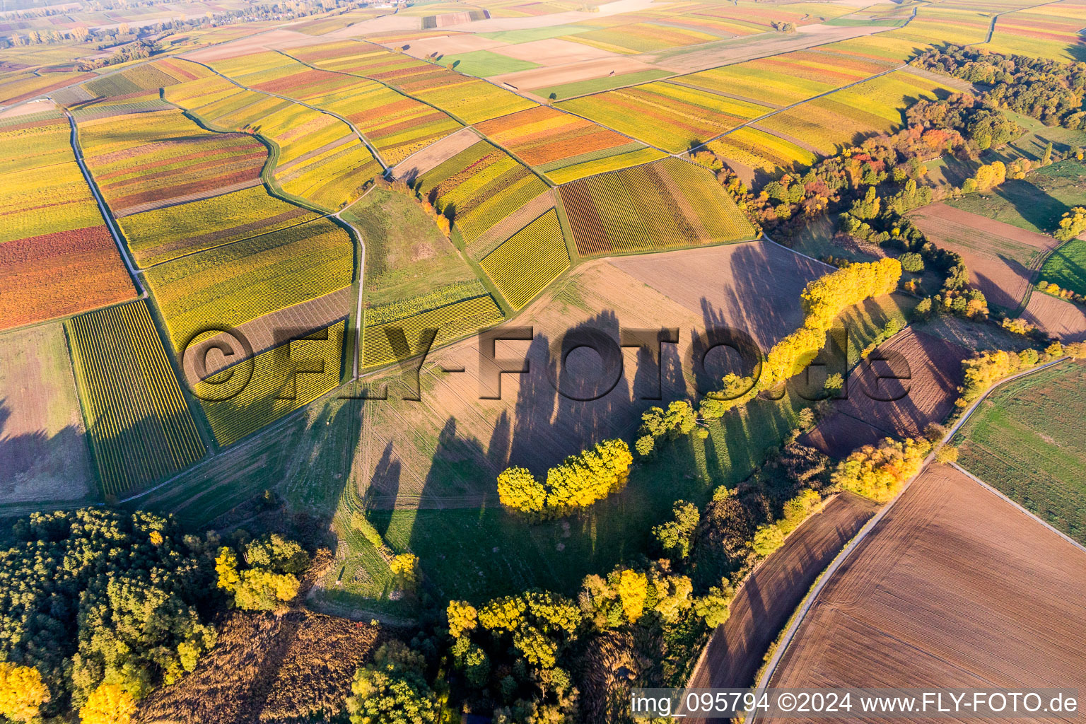 Fields of wine cultivation landscape in Heuchelheim-Klingen in the state Rhineland-Palatinate, Germany