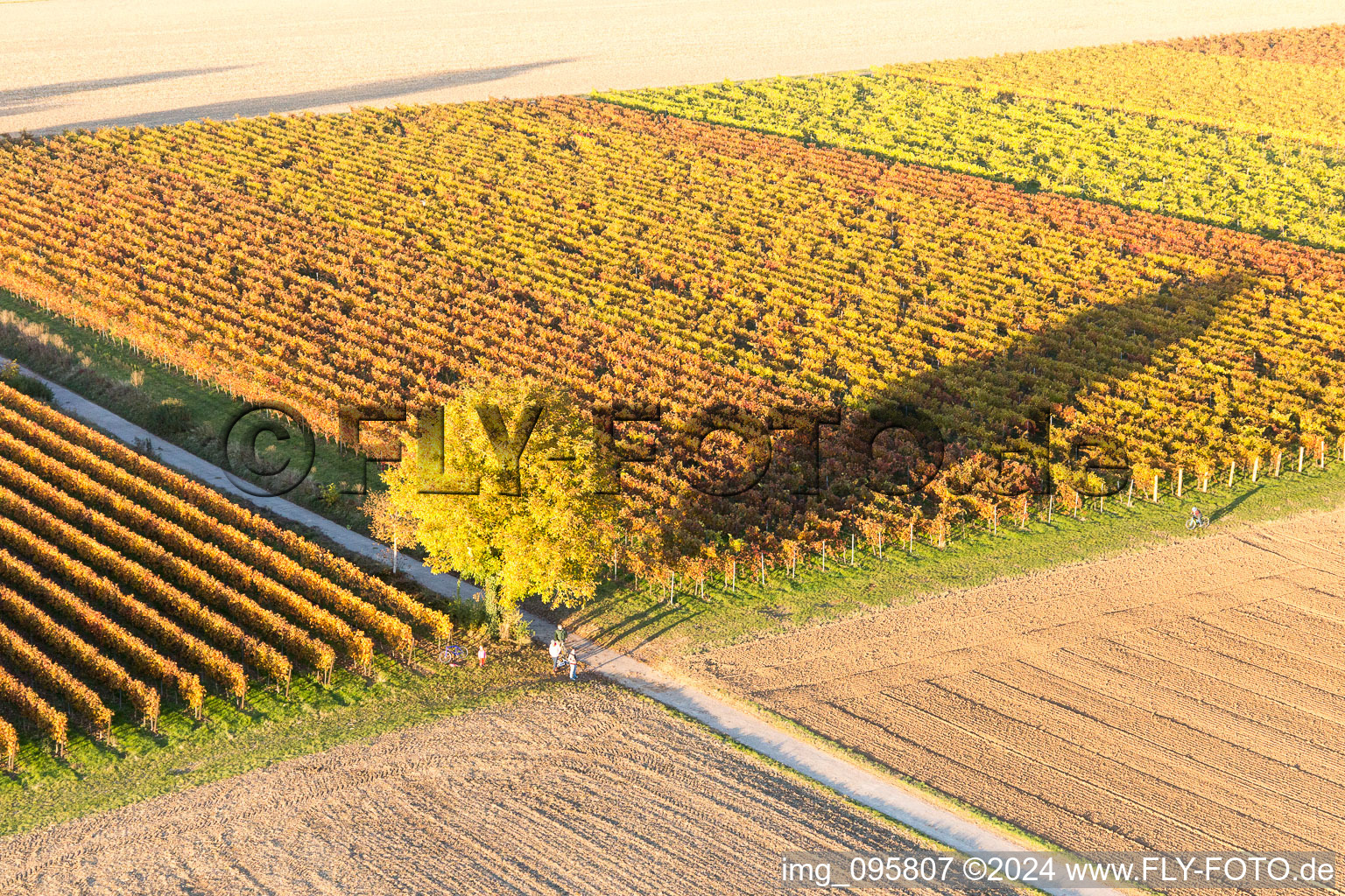 Aerial photograpy of Winden in the state Rhineland-Palatinate, Germany