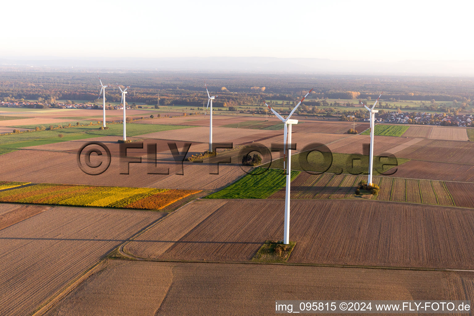 Oblique view of Minfeld in the state Rhineland-Palatinate, Germany