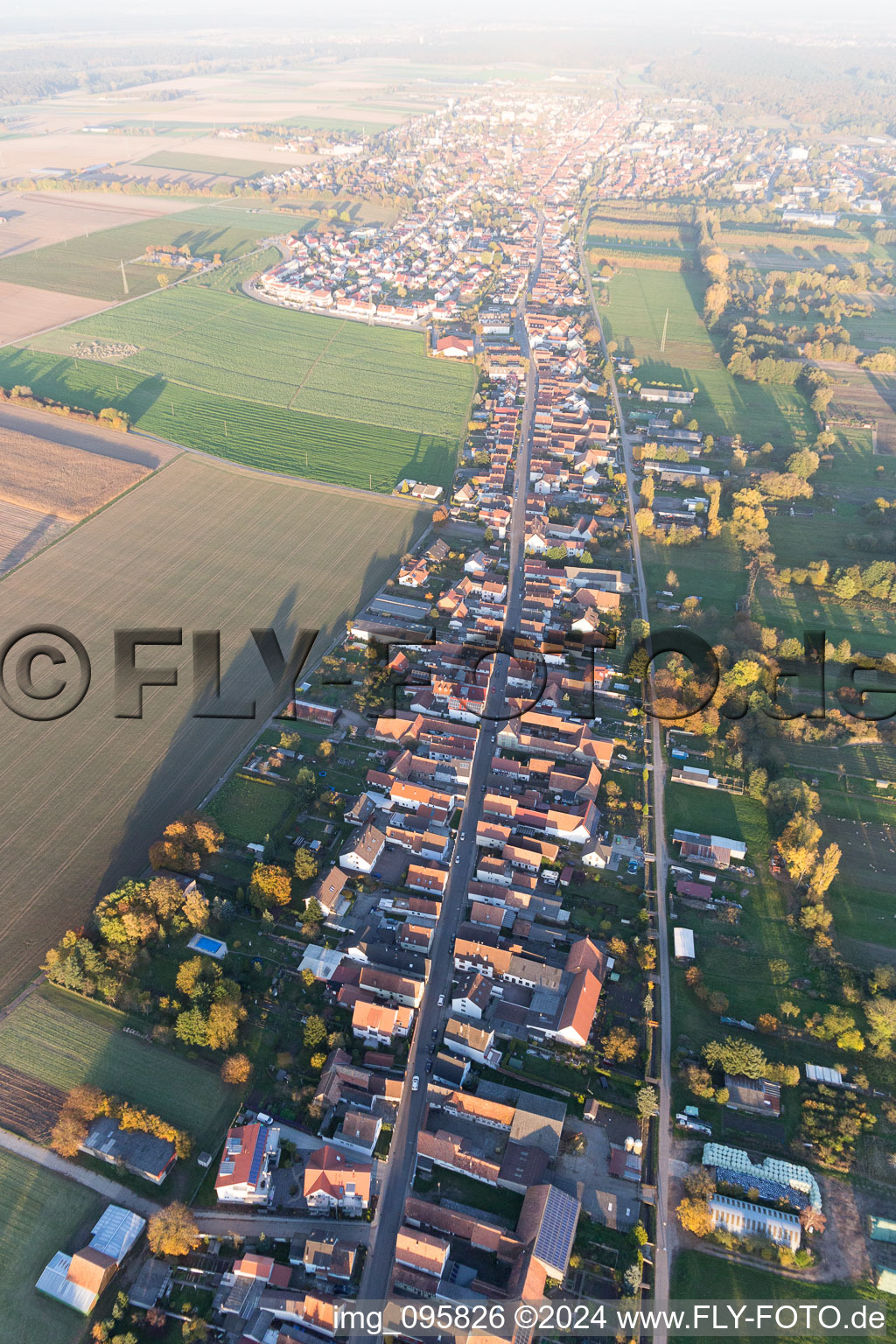 Saarstr in Kandel in the state Rhineland-Palatinate, Germany from the drone perspective