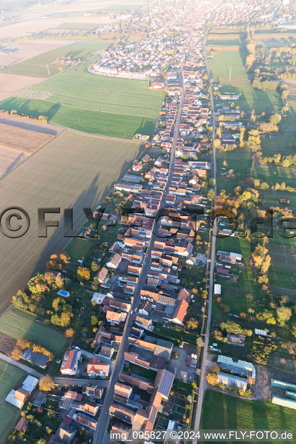 Saarstr in Kandel in the state Rhineland-Palatinate, Germany from a drone