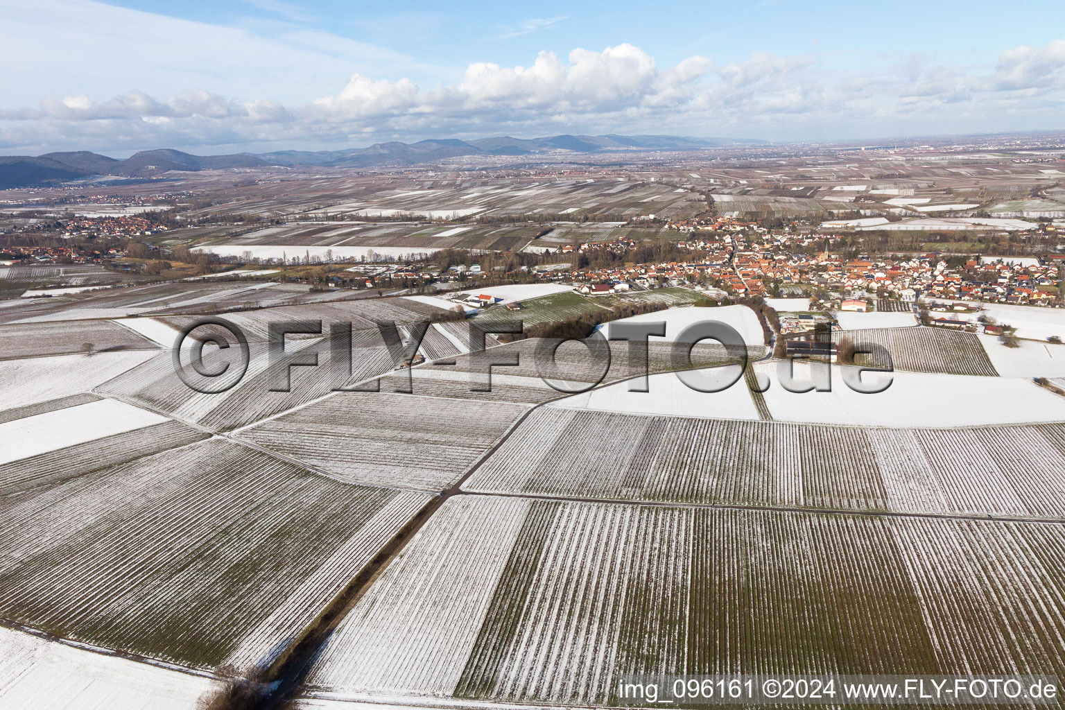 Aerial view of District Ingenheim in Billigheim-Ingenheim in the state Rhineland-Palatinate, Germany