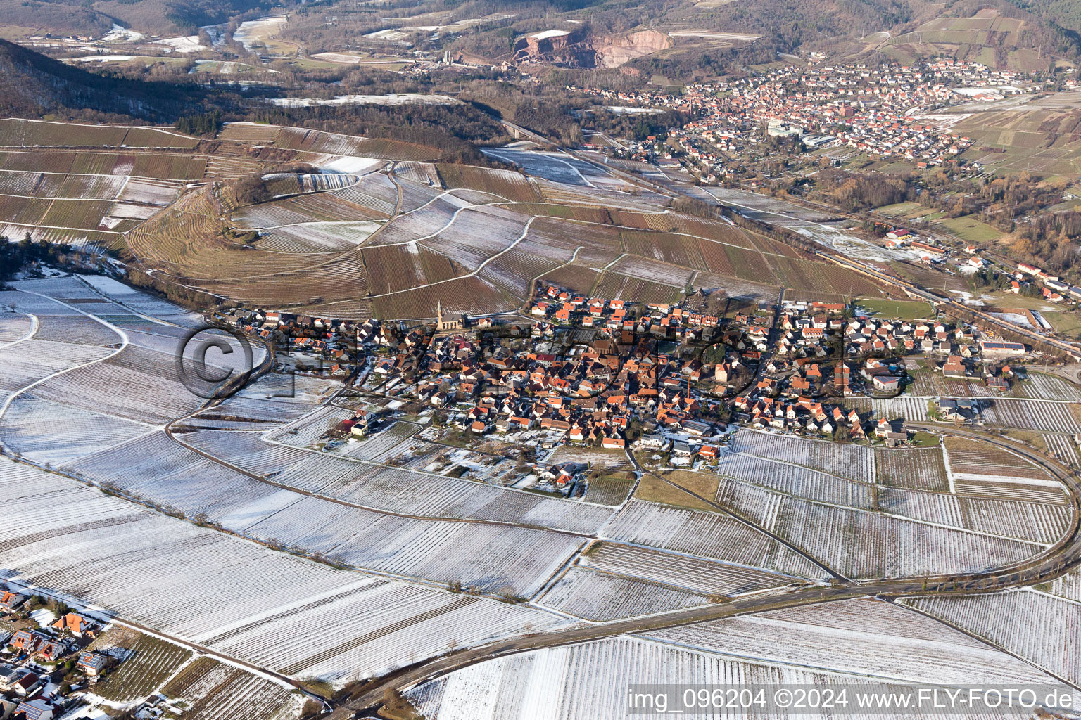 Aerial view of Chestnut bush in Birkweiler in the state Rhineland-Palatinate, Germany