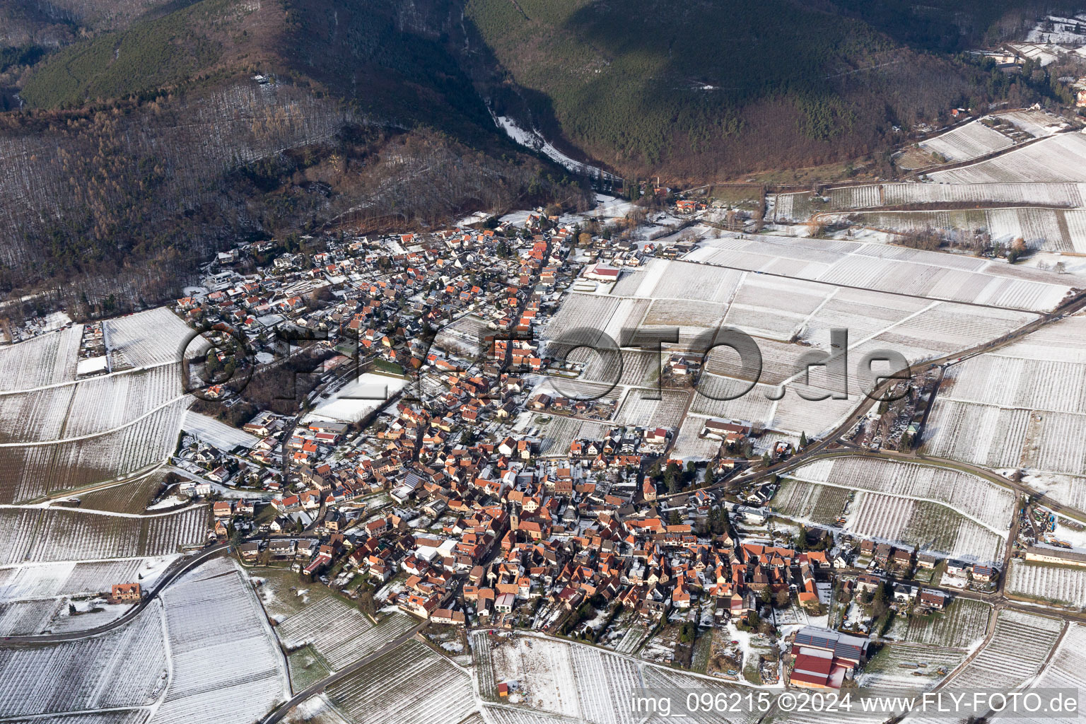 Bird's eye view of Frankweiler in the state Rhineland-Palatinate, Germany