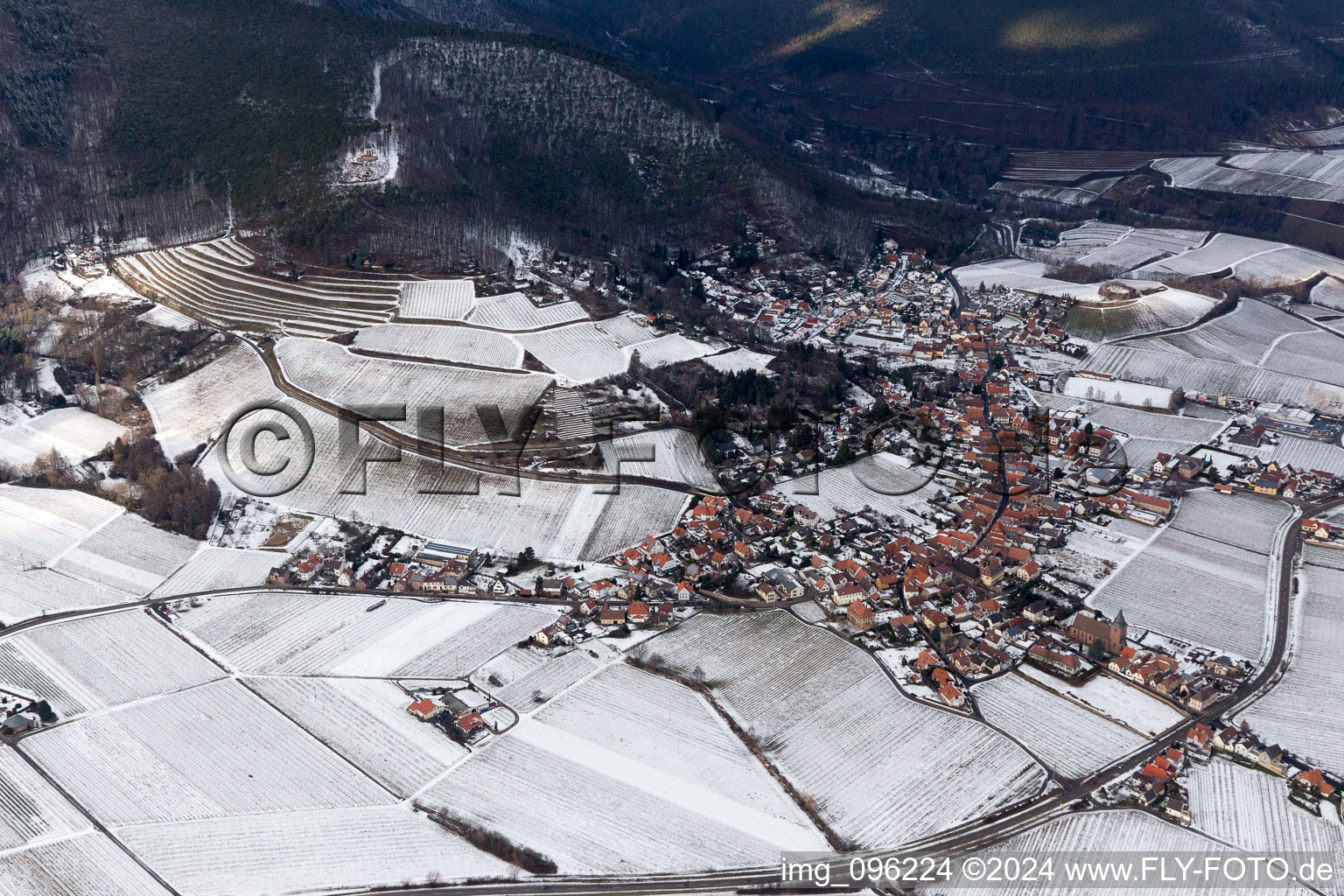 Gleisweiler in the state Rhineland-Palatinate, Germany from a drone