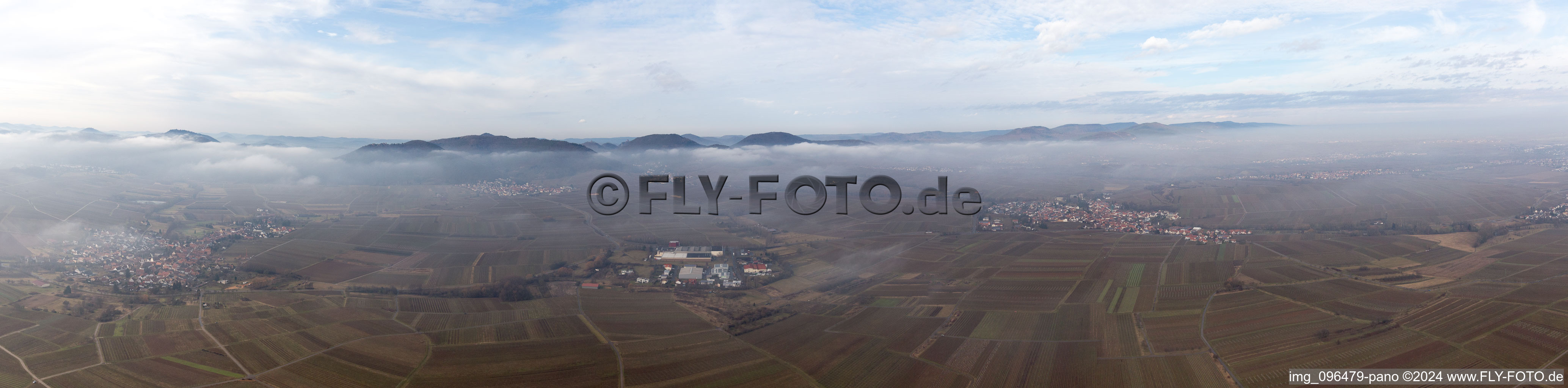 Panorama in Göcklingen in the state Rhineland-Palatinate, Germany