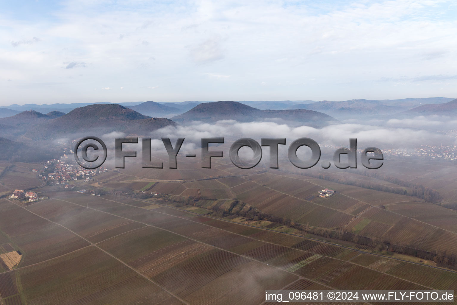 Oblique view of Leinsweiler in the state Rhineland-Palatinate, Germany