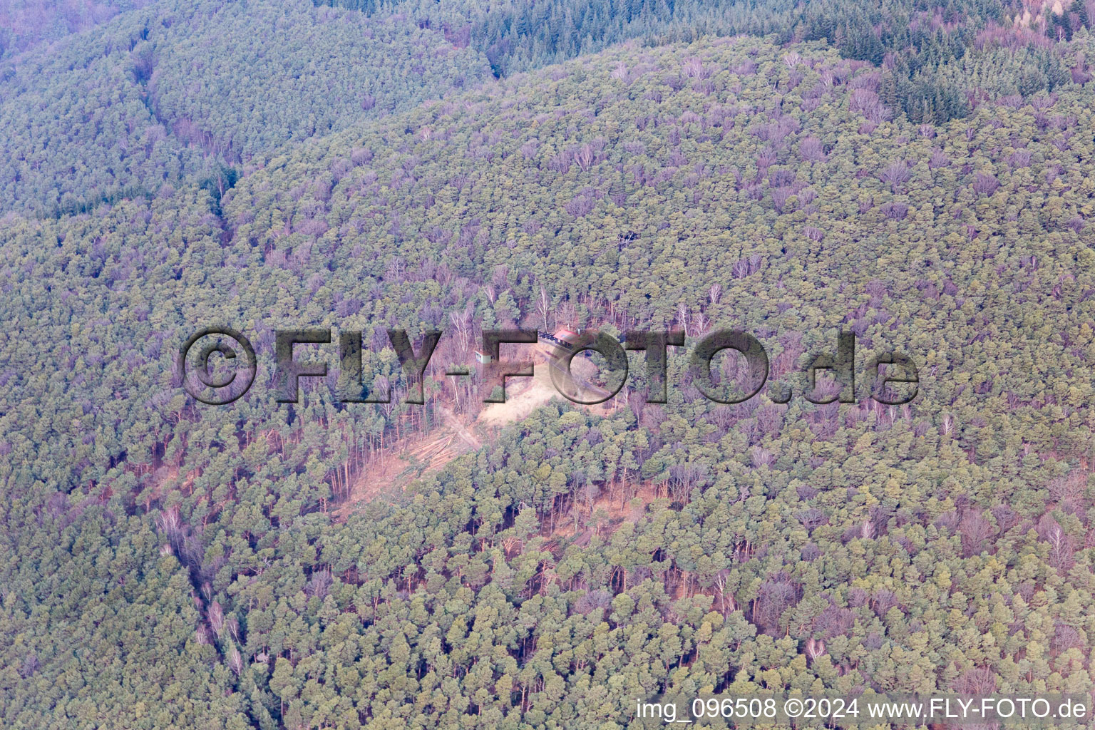 Drone recording of Frankweiler in the state Rhineland-Palatinate, Germany