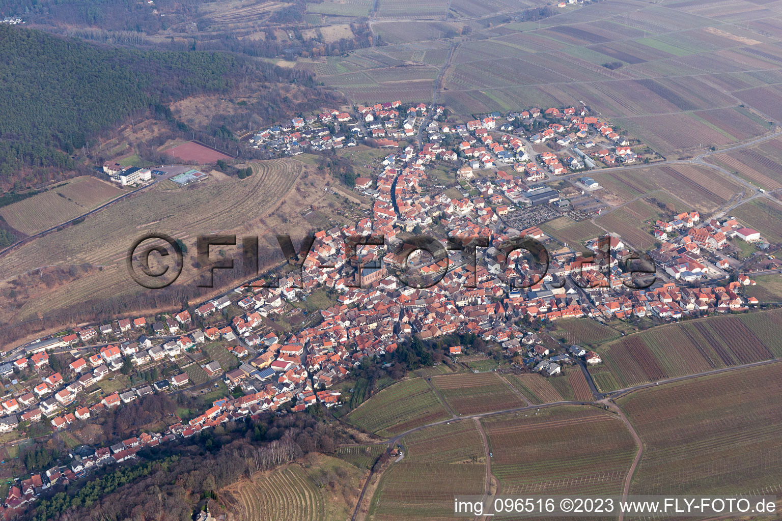 Sankt Martin in the state Rhineland-Palatinate, Germany from above