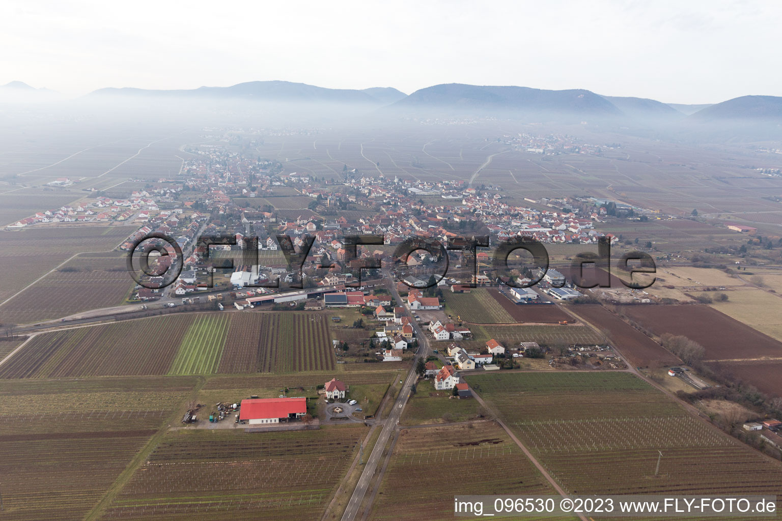 Aerial view of Edesheim in the state Rhineland-Palatinate, Germany