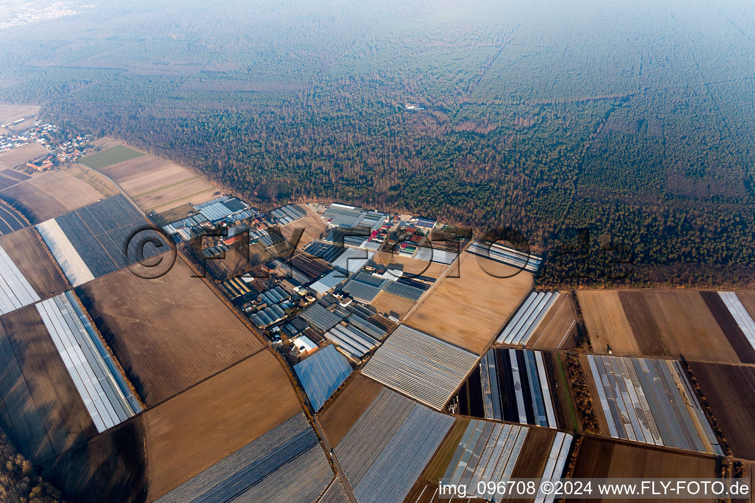 Lampertheim in the state Hesse, Germany seen from above