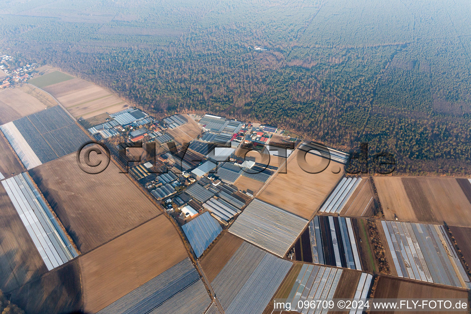 Lampertheim in the state Hesse, Germany from the plane