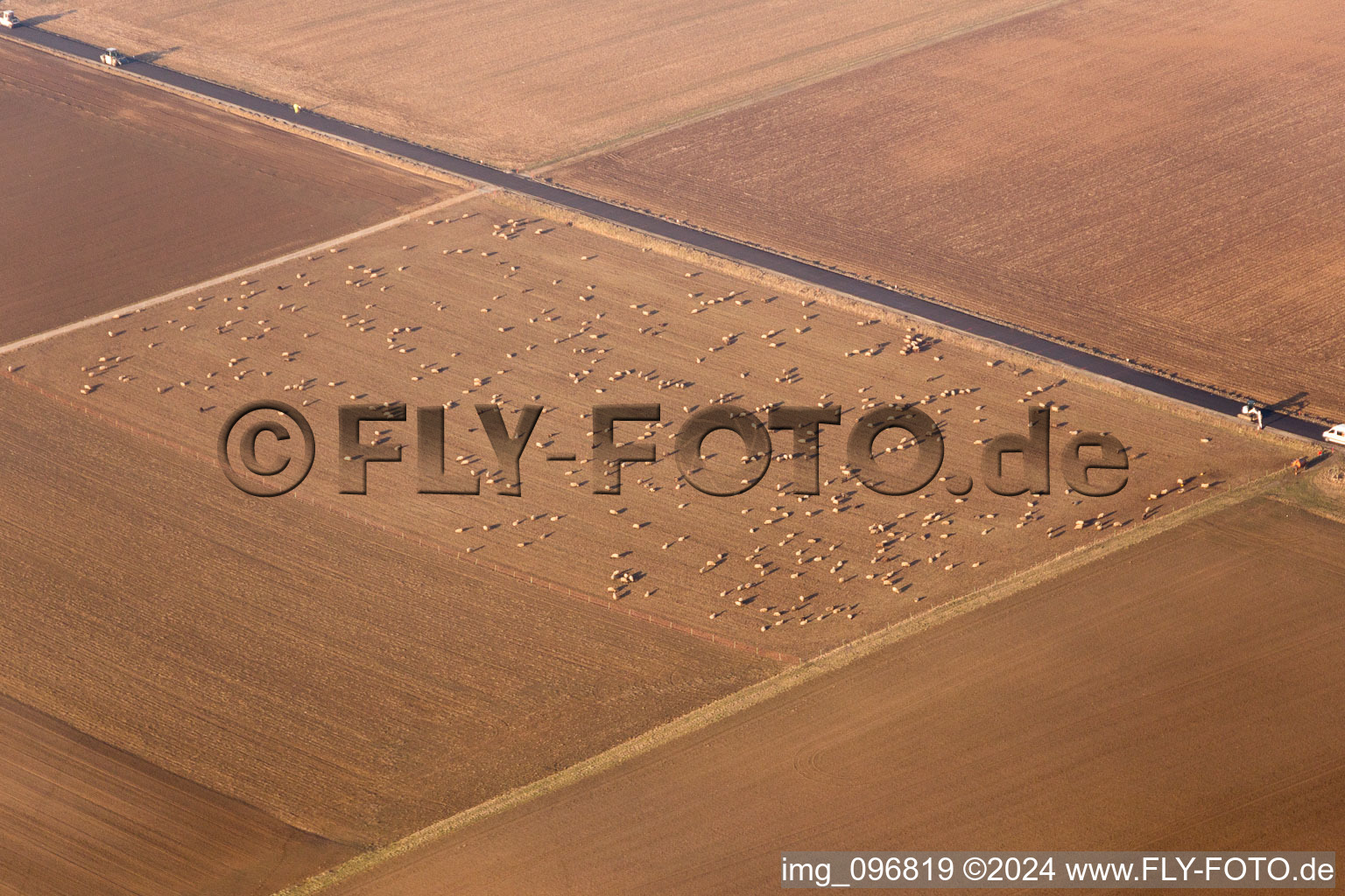 Hay bales on stubble field in the district Habitzheim in Otzberg in the state Hesse, Germany