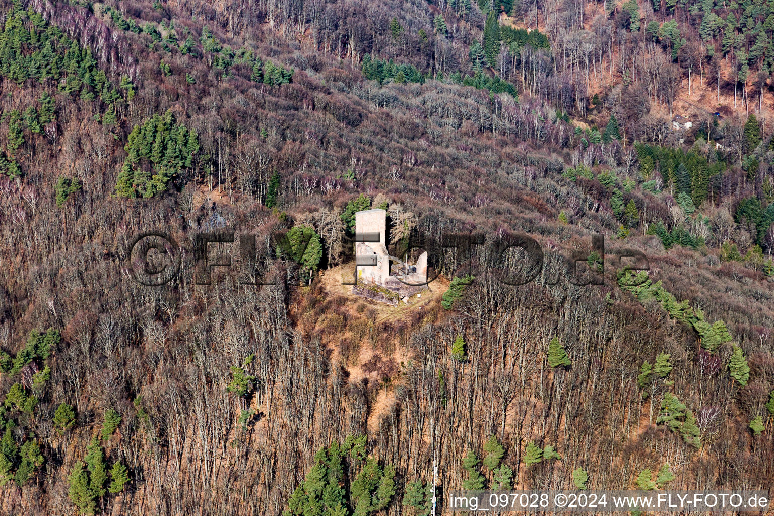 Ruins and vestiges of the former fortress Ramburg in Ramberg in the state Rhineland-Palatinate, Germany