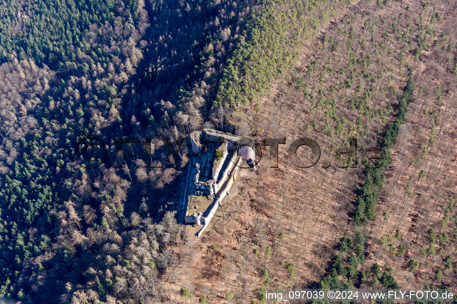 Ruins and vestiges of the former castle and fortress Burg Neuscharfeneck in Ramberg in the state Rhineland-Palatinate