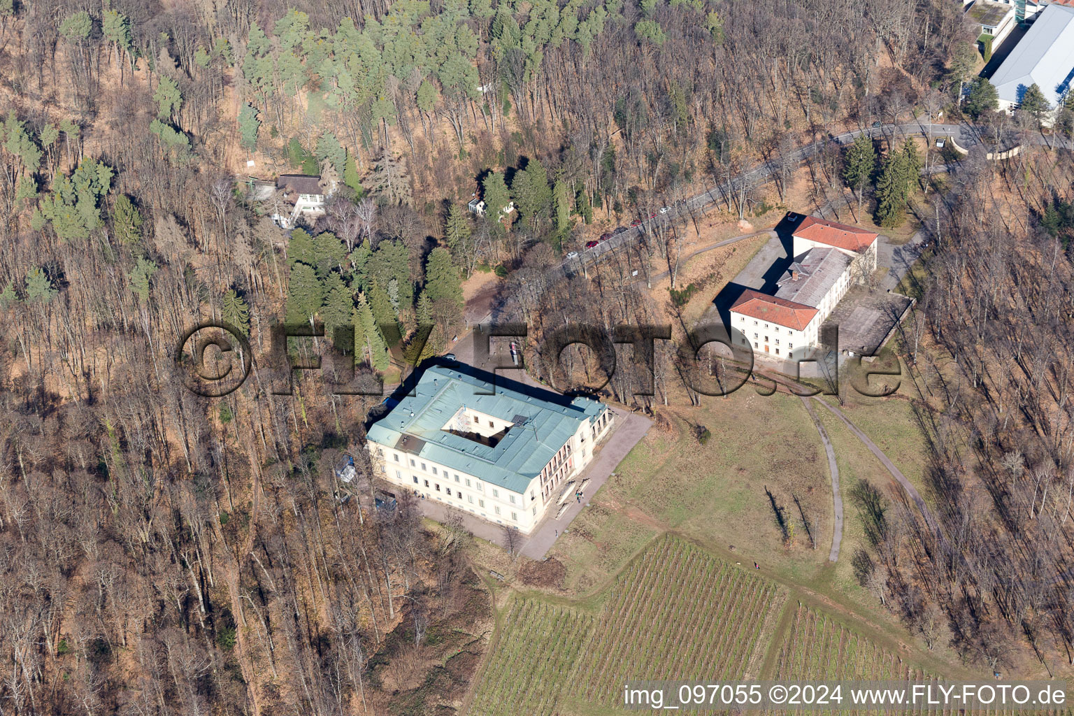 Aerial photograpy of Castle Villa Ludwigshöhe in Weyher in der Pfalz in the state Rhineland-Palatinate, Germany