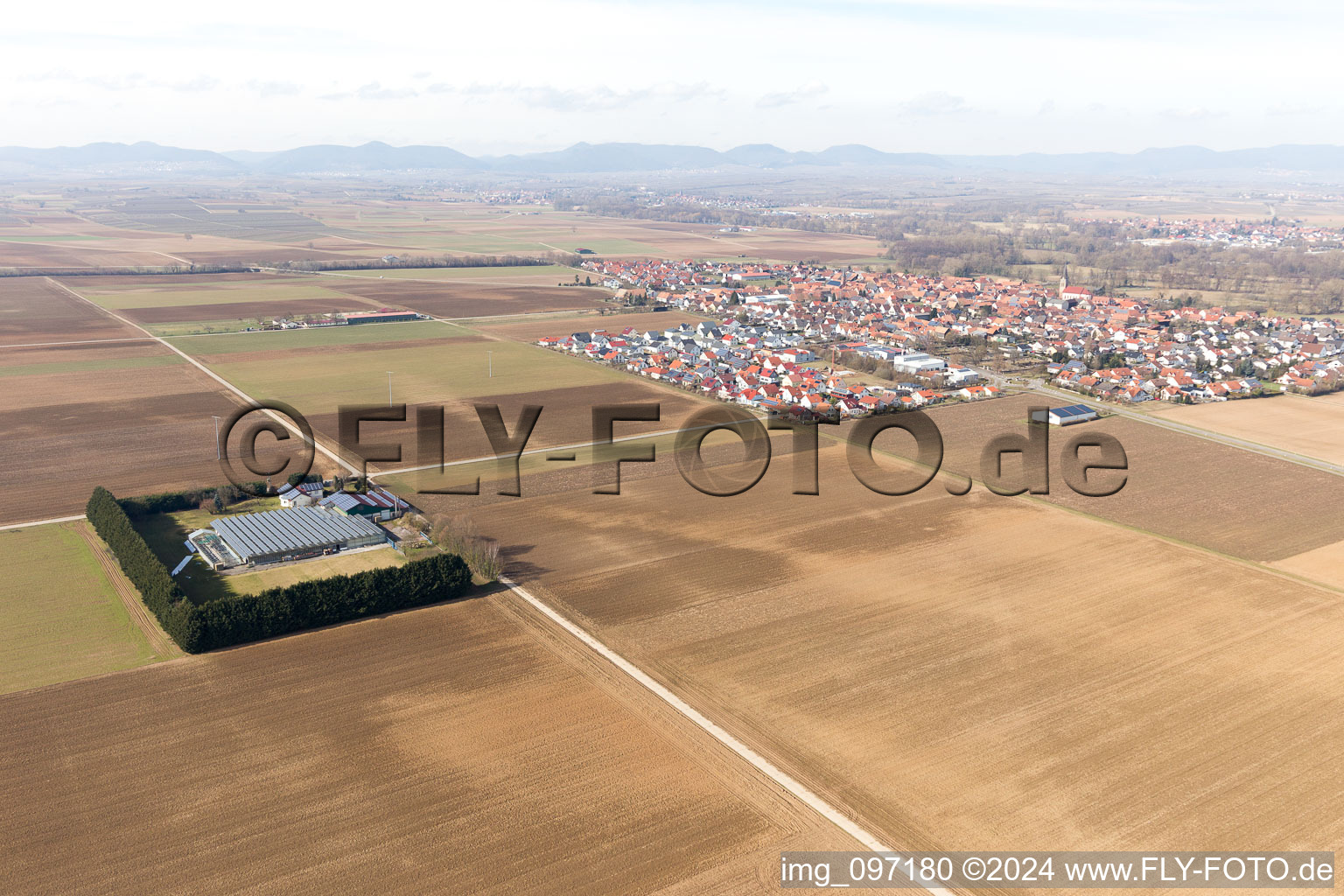 Steinweiler in the state Rhineland-Palatinate, Germany from a drone