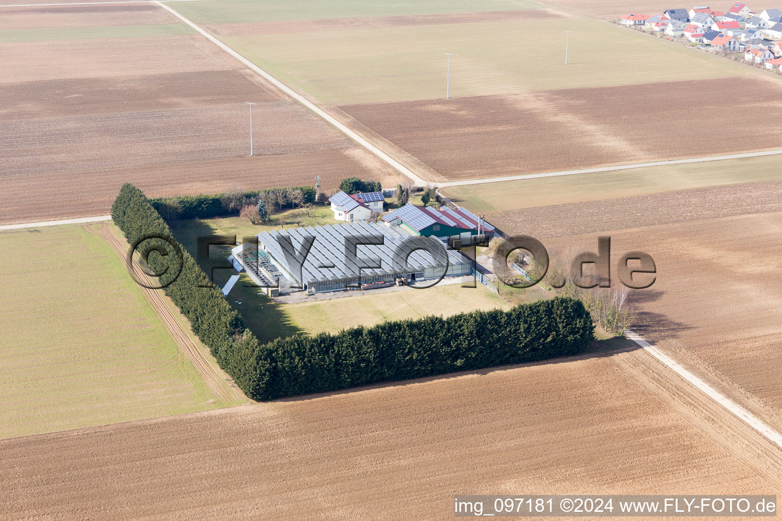 Steinweiler in the state Rhineland-Palatinate, Germany seen from a drone